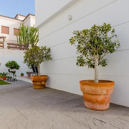 Almadraba קוניל דה לה פרונטרה