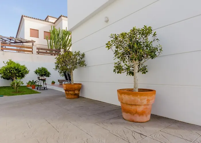 Almadraba Conil De La Frontera